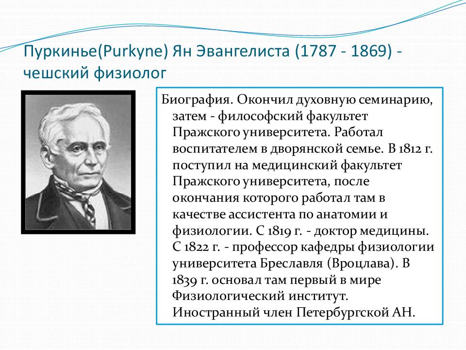 Пуркинье( Purkyne ) Ян Эвангелиста (1787 - 1869) - чешский физиолог