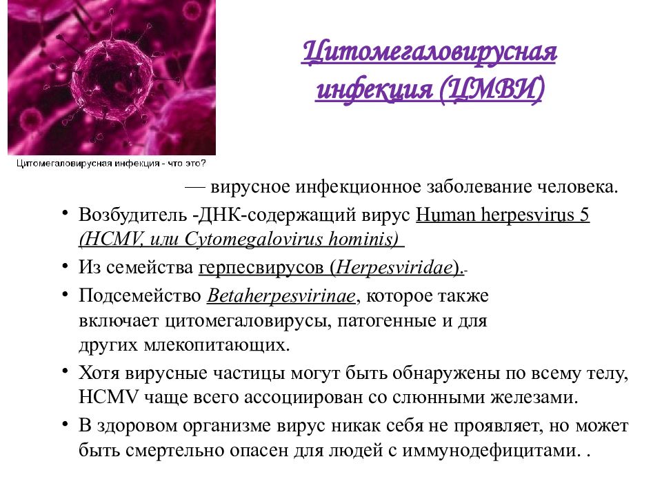 Доклад по теме Цитомегаловирусная инфекция