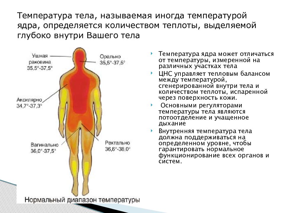 Доклад по теме Температура тела
