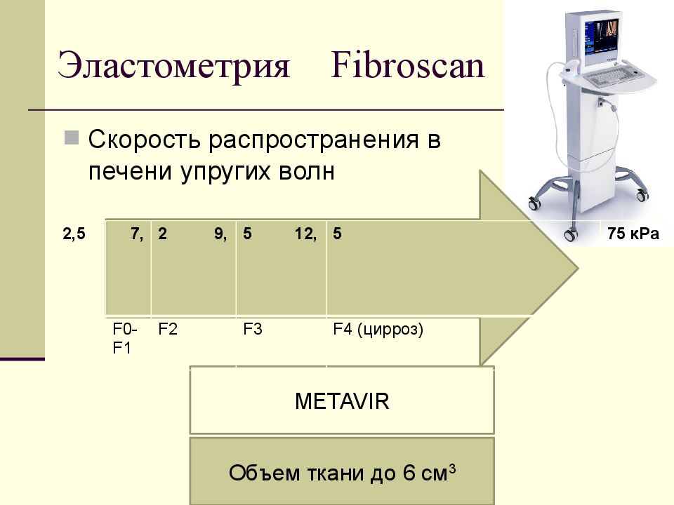 Эластометрия Fibroscan