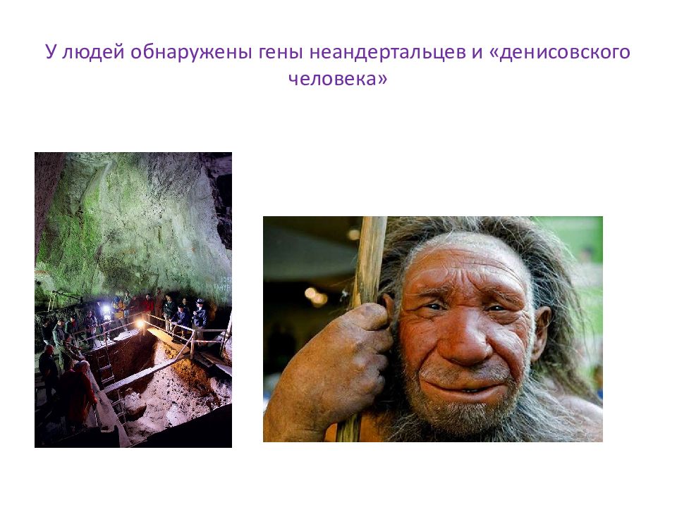 У людей обнаружены гены неандертальцев и «денисовского человека»