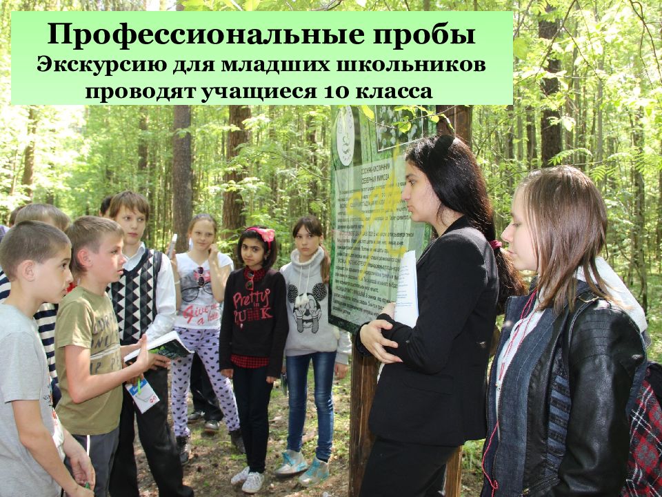 Экологическая тропа «Дорога домой» (ООПТ «Черняевский лес»)