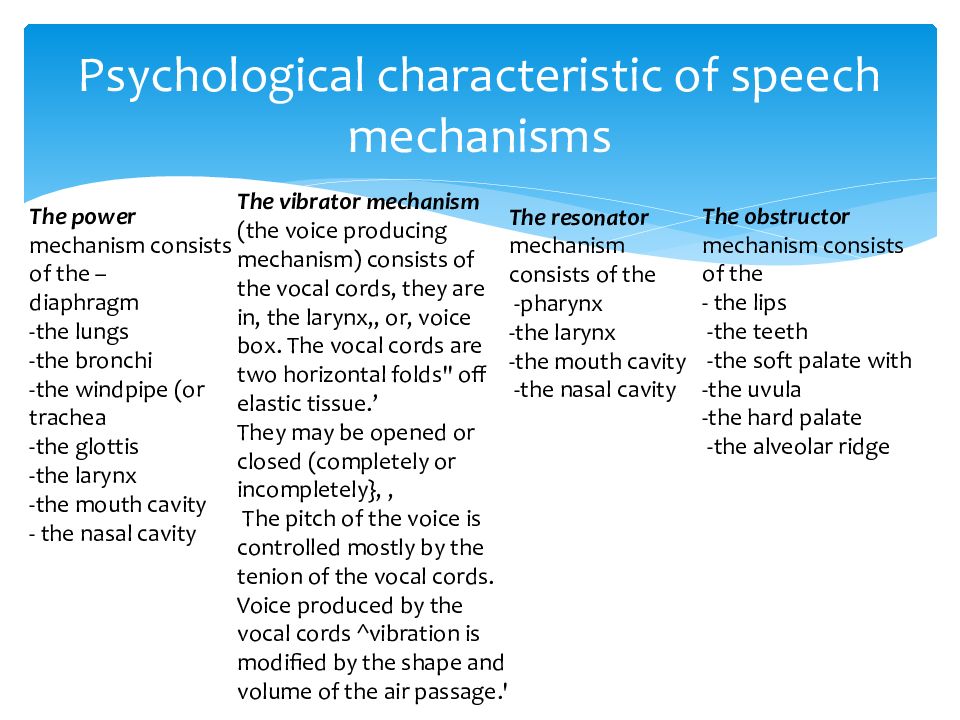 Articulatory Aspect of speech sound презентация на Slide Share ru 🎓. slide...