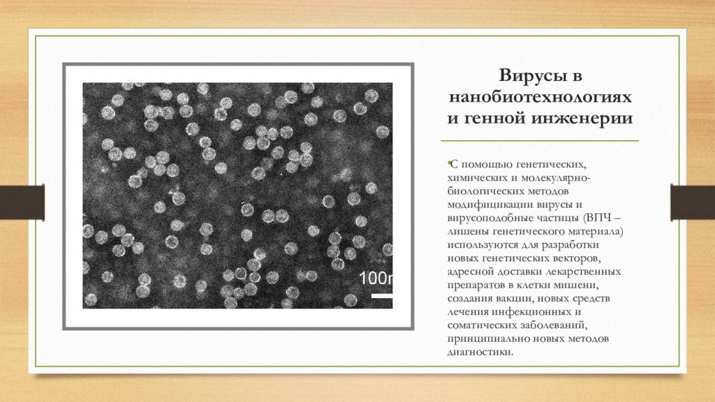 Вирусы в нанобиотехнологиях и генной инженерии