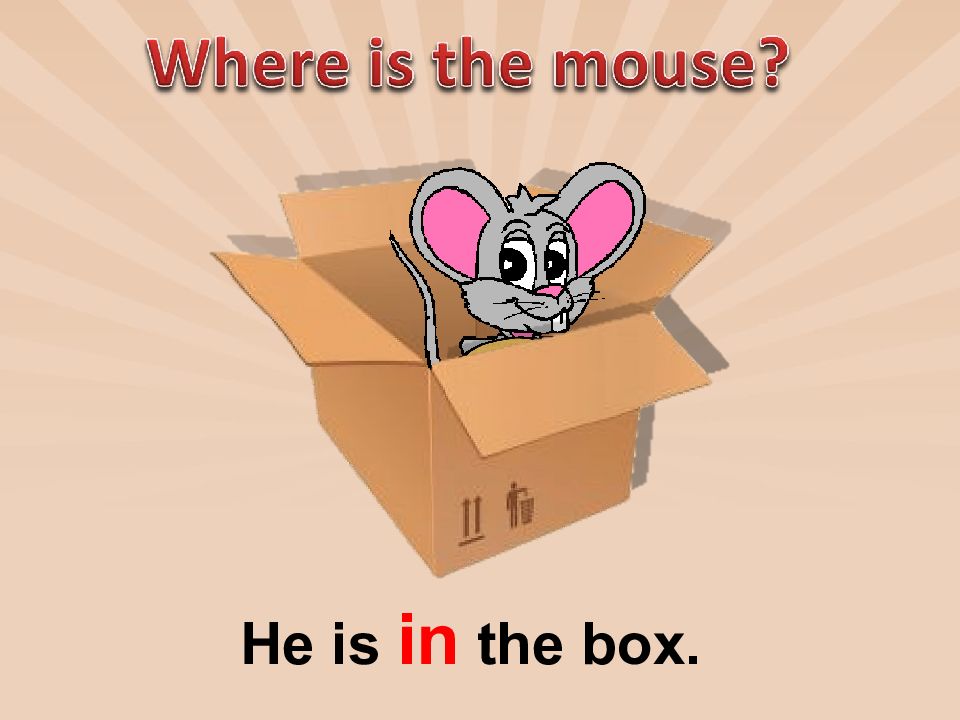 He is in the box. 