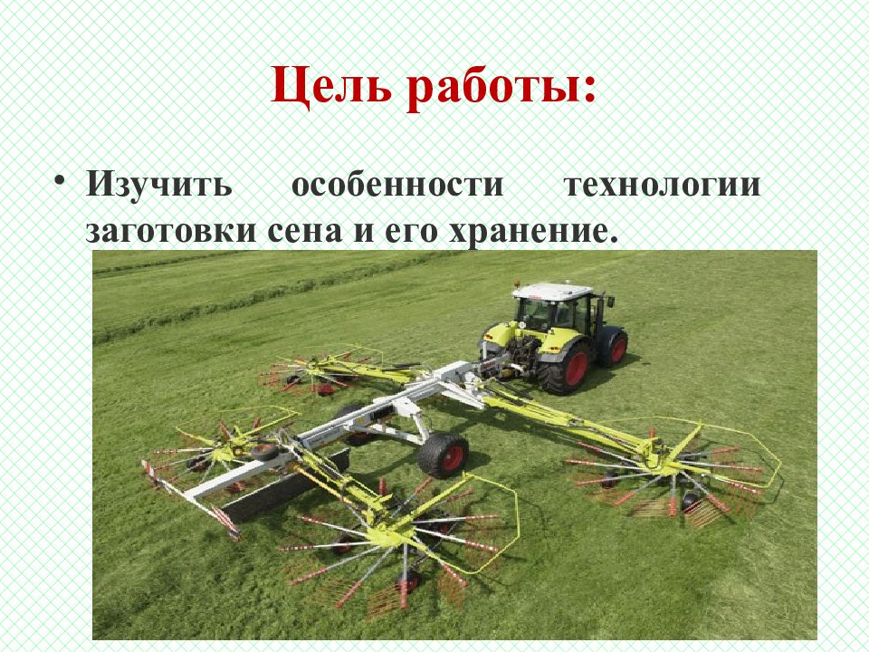 Дипломная работа: Технология уборки трав на сено и перевозки сена